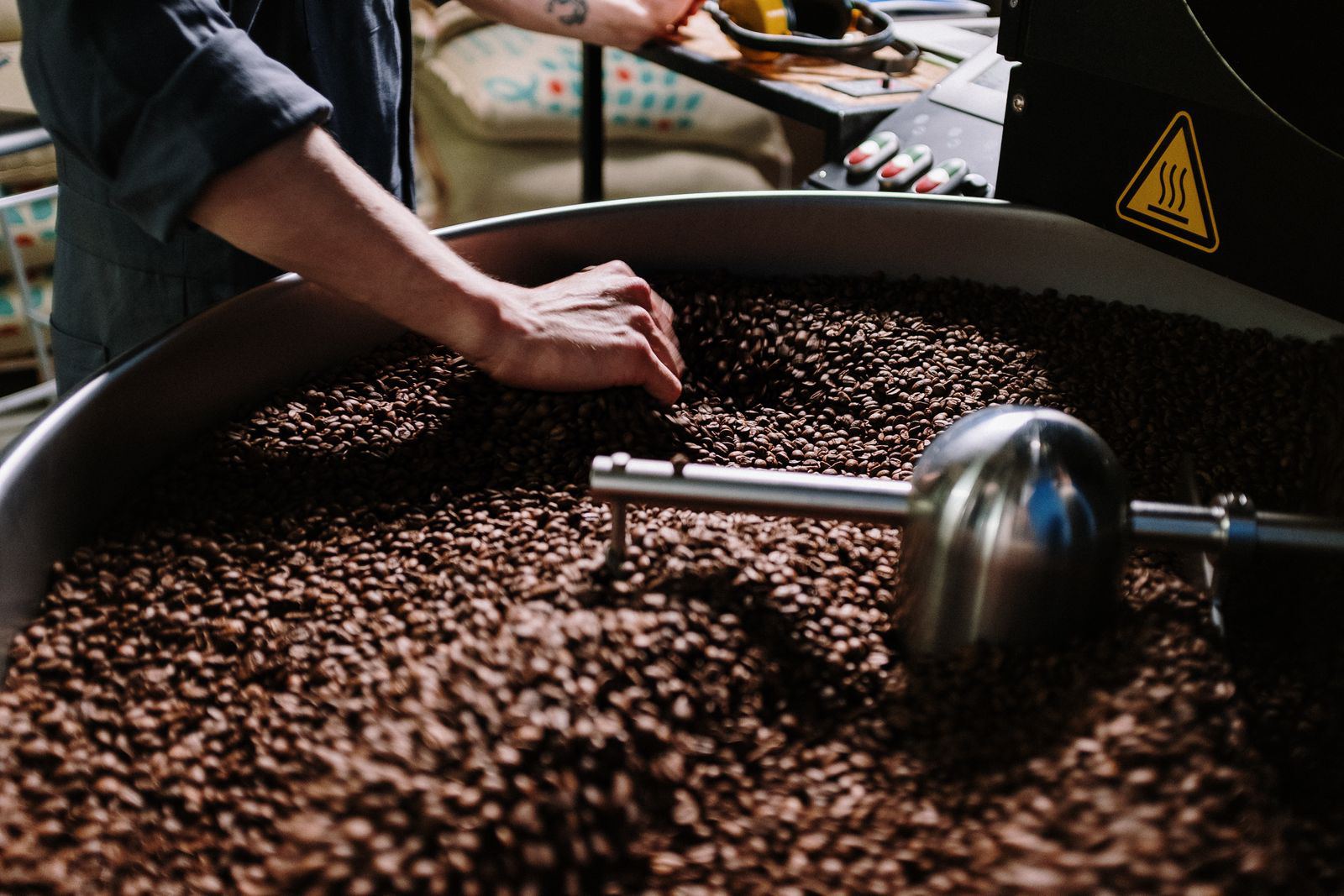 Hands raking roasted beans in the cooling tray